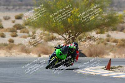 media/Apr-10-2022-SoCal Trackdays (Sun) [[f104b12566]]/Turn 5 Tree of Life (1040am)/